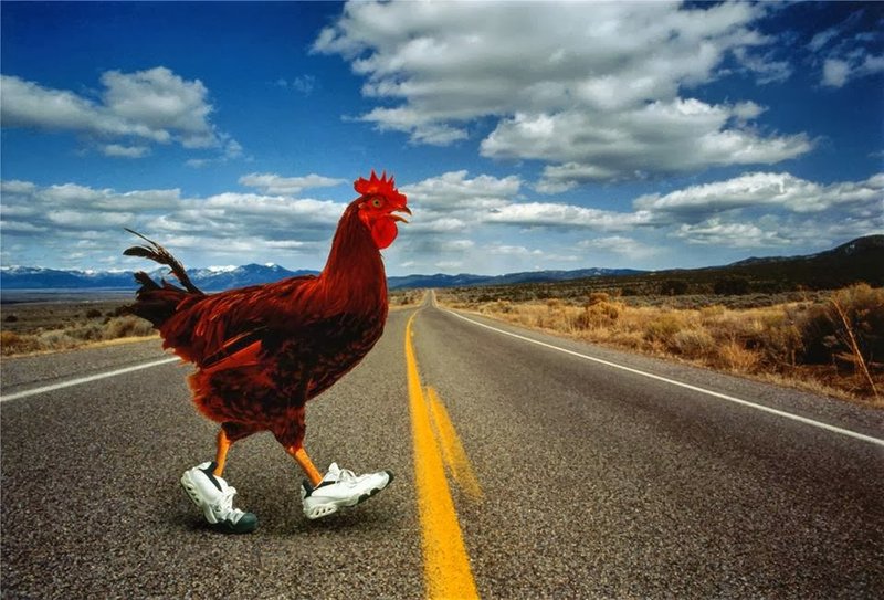 L'Avventura della Scommessa: Scopriamo il Gioco del Chicken Road in Italia - panoramica